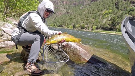 Dry Fly Fishing On Utahs Green River 2019 Youtube
