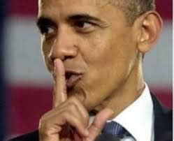 FREEDOMFIGHTERS FOR AMERICA - THIS ORGANIZATIONEXPOSING CRIME AND