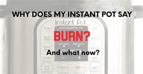 We did not find results for: Why Does My Instant Pot Say Burn from 30daysblog