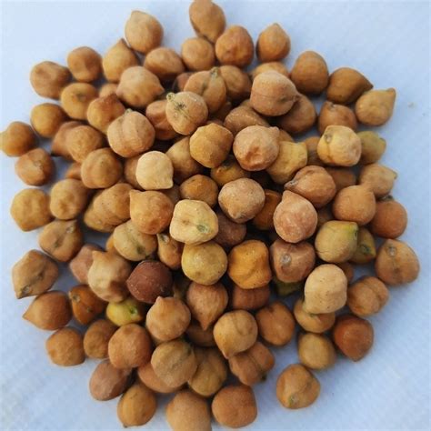 Brown Chickpeas Packaging Type Poly Bag At Rs Ton In Jasdan Id