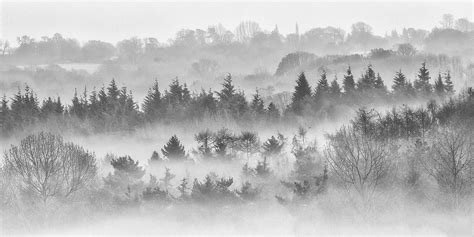 Trees In The Mist Afternoon Mist On A Farm Just North Of P Flickr