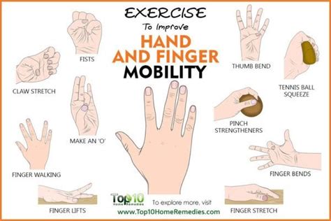 Pour les articles homonymes, voir doigt (homonymie). 10 exercices pour améliorer la mobilité des mains et des ...