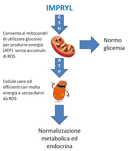 Le cause possono essere ormonali (le più comuni), genetiche, o farmacologiche. Diabete, insulino resistenza e ovaio policistico: come ...