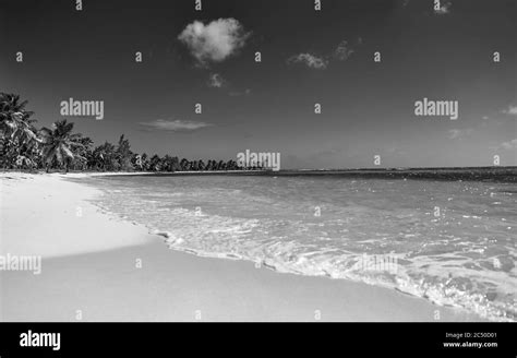 Tropical Island View Of The Beach From The Water Stock Photo Alamy