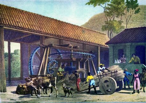 No Período Pré-colonial Atividade Econômica Que Teve Maior Destaque Foi