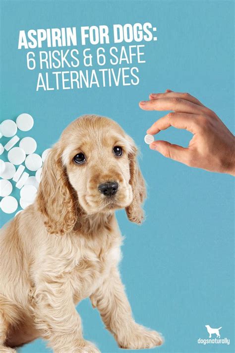 Aspirin For Dogs 6 Risks And 6 Safe Alternatives In 2020 Aspirin For