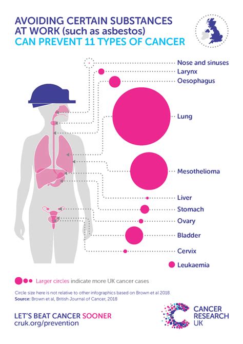 Cats have 10 mammary glands, five on either side of the abdomen. Gastric cancer uk statistics - natural-aloevera.ro ...