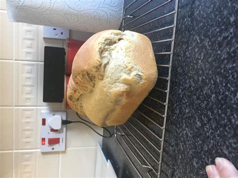 What Did I Do Wrong The Fresh Loaf