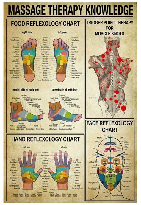 Massage Poster Massage Therapist Foot Reflexology Chart Wrapped