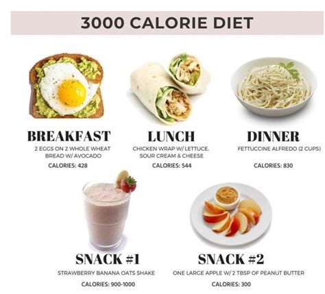 What Is There In A 3000 Calories Diet Medical Darpan