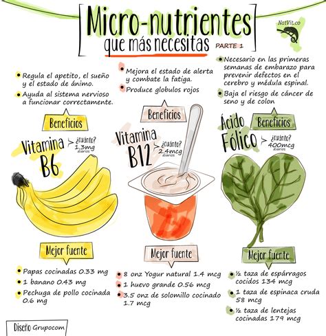 O Que São Micronutrientes Exemplos Educabrilha