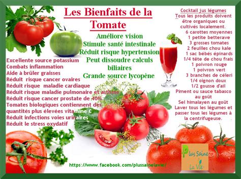 Quels Sont Les Bienfaits De La Tomate Am Liore Ta Sant Hot Sex Picture