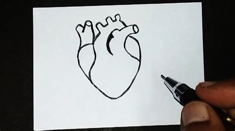 How To Draw Easy Heart Drawing For Kids World Heart Day Drawing