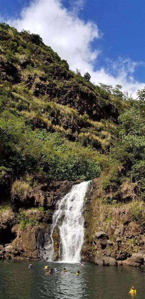 Waimea Valley Haleiwa 2019 All You Need To Know Before You Go With