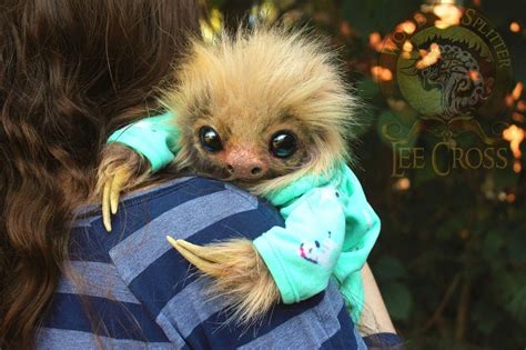Meet Buttons The Baby Pajama Sloth This 100 Handmade Fully