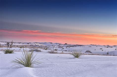 Landscapes Of White Sand Dunes In New Mexico In The United