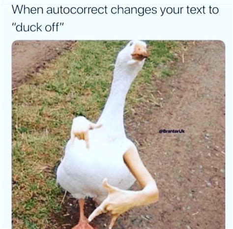 Share the best gifs now >>>. When autocorrect changes your text to duck off meme - AhSeeit