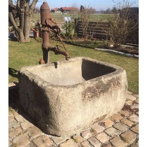 Weitere ideen zu blattpflanzen, funkien, steinbrunnen garten. Referenzen | Brunnen garten, Steinbrunnen garten ...