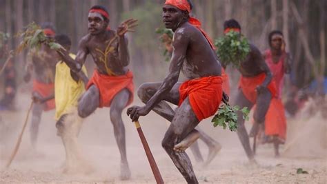 top 10 things to do in arnhem land articles nt australia