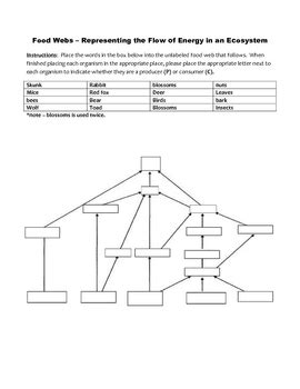10 best images of marine food web worksheet