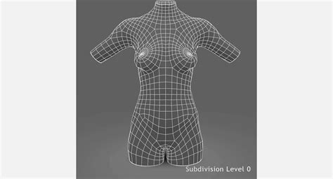 Female Torso D Studio Max By Dcbittorf You Can Buy This D Model My