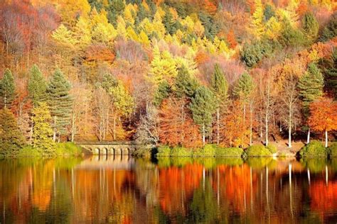 69 Fall Desktop Backgrounds ·① Download Free Amazing Backgrounds For Desktop Computers And