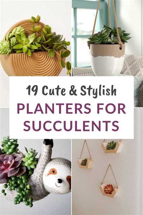 19 Cute Hanging Planters For Succulents You May Love Batang Tabon