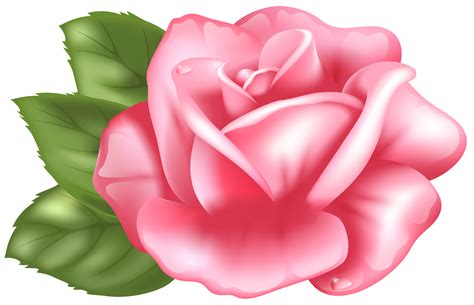 Pink Rose Clipart Free Download On Clipartmag