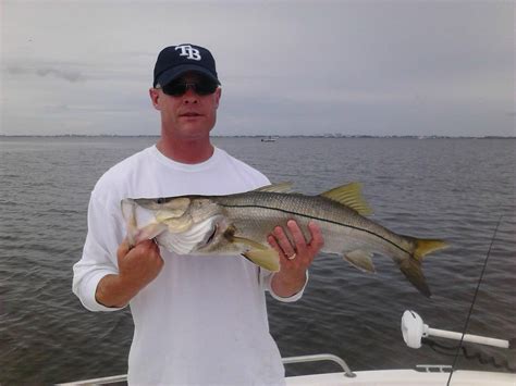 Fishing Sarasota Florida Day Tours 2022 Alles Wat U Moet Weten