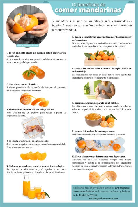10 Beneficios De Comer Mandarinas El Jardín De Venus