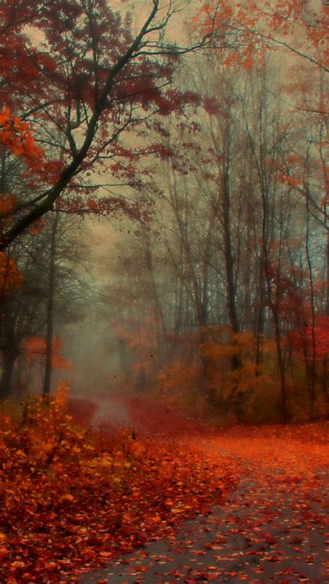 Awesome Autumn Wallpapers For Your iPhone HD - The Nology
