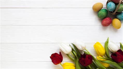 Images Easter Eggs Tulip Flower Holidays Wood Planks 2560x1440