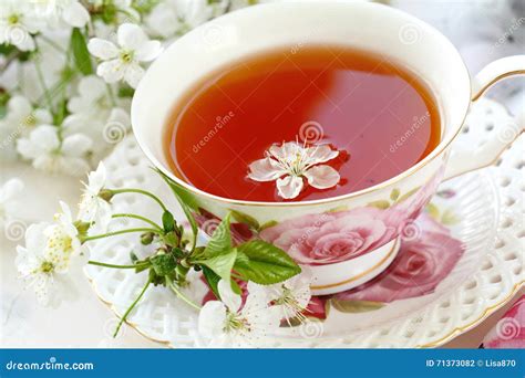 Jasmine Tea With Jasmine Herb Flower Stock Photo Image Of Bright