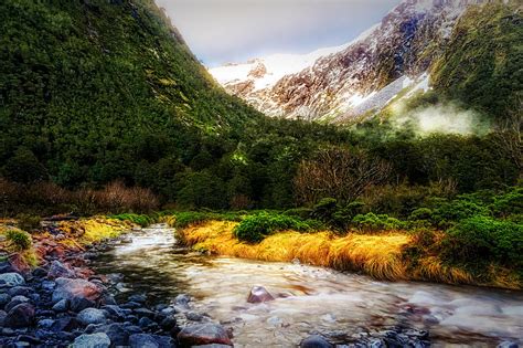 The Flowing Waters Of Monkey Creek Photograph By Paul Sommers Pixels