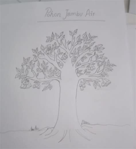 Tips Menggambar Pohon Psikotes