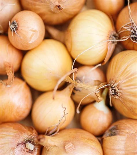 Its help in hair care. How To Use Onion Juice For Hair Growth | Onion juice for ...