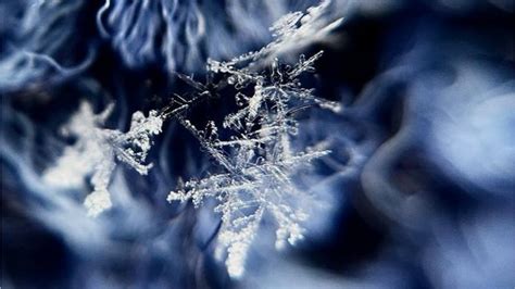 Beautiful Snowflakes Photographed By Bbc Weather Watchers Bbc Weather