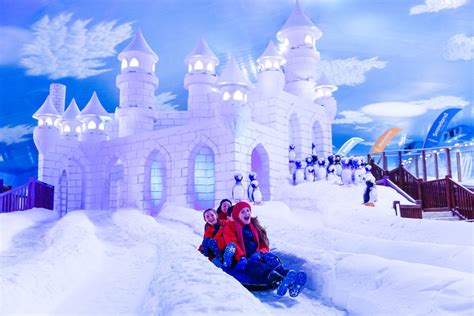 Neve em urubici, santa catarina, brasil. Você sonha em conhecer a neve sem sair do Brasil? No parque temático Snowland isso é possível!