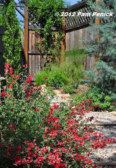 Gary regner photography specializes in photography of texas wildflowers, texas landscapes, and other nature and outdoor subjects mainly in texas. How to green up your winter garden in central Texas ...