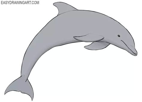 How To Draw A Dolphin Easy Drawing Art