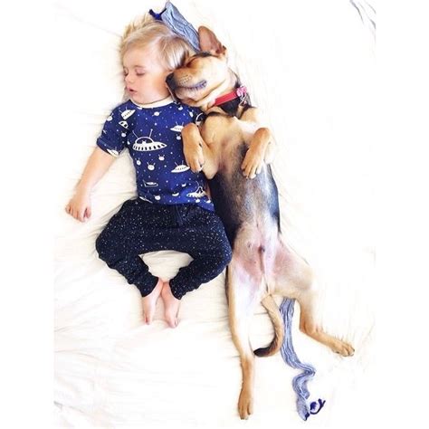 Cute Pictures Of Toddler Napping With Her Dog In The Last 5 Months