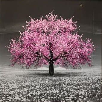cherry blossom tree  sizes upstairs downstairs