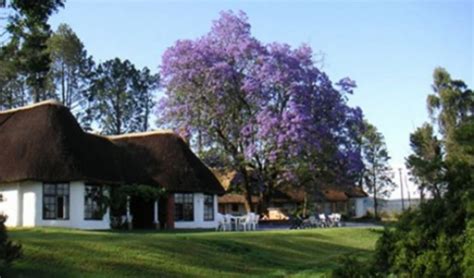 Growing your own vegetables ensures they are fresh, have not been sprayed with chemicals and it allows you to choose what to grow. South Africa Lodge Estcourt in the Drakensberg Mountains