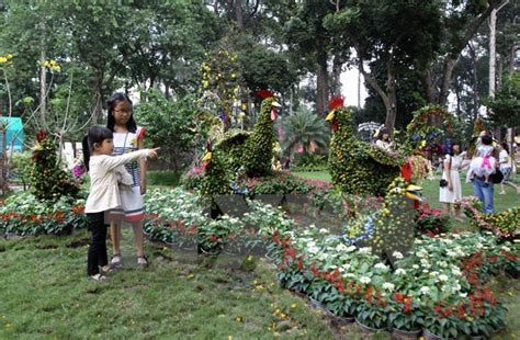 Con gà thiến trên mâm cúng giao thừa biểu tượng cho điều gì?. "Xong Dat" - A cherished Lunar New Year tradition - News ...