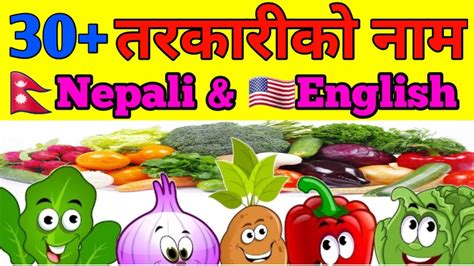 Learn Vegetable Name Nepali English Vegetable