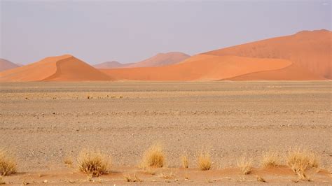 Namib Desert 3 Wallpaper Nature Wallpapers 43512