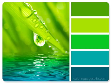 We did not find results for: Nature Inspired Color Palettes