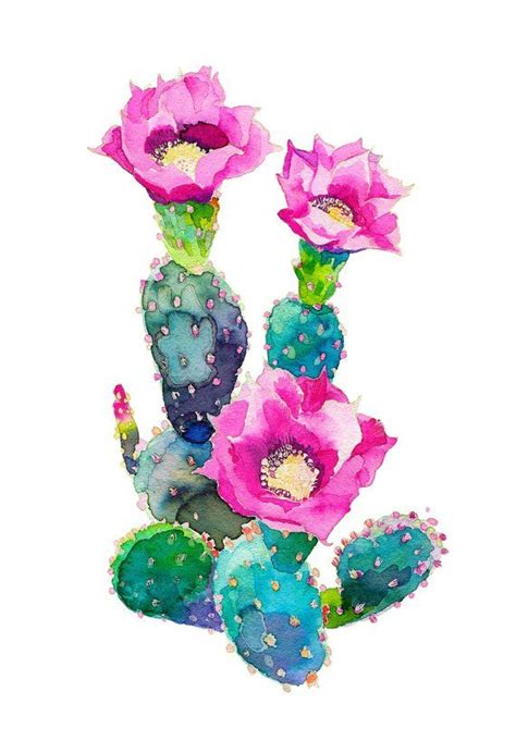 Watercolor Painting Of Pink And Green Cactus Flowers