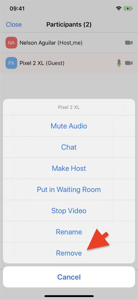 In the settings window open the video section and click touch up my. How to Remove a Participant in a Zoom Video Call & Ban ...