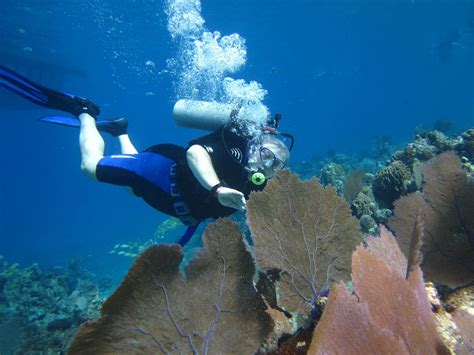 Cozumel Coral Reef Private Scuba Diving Tutto Quello Che Cè Da Sapere